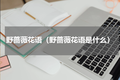 野蔷薇花语（野蔷薇花语是什么）
