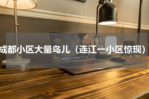 成都小区大量鸟儿（连江一小区惊现）