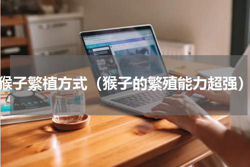 猴子繁植方式（猴子的繁殖能力超强）