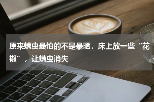 原来螨虫最怕的不是暴晒，床上放一些“花椒”，让螨虫消失