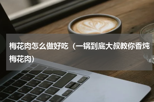 梅花肉怎么做好吃（一锅到底大叔教你香炖梅花肉）