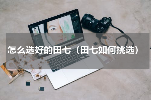 怎么选好的田七（田七如何挑选）
