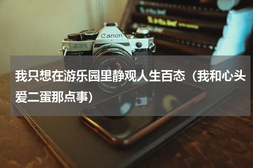 我只想在游乐园里静观人生百态（我和心头爱二蛋那点事）