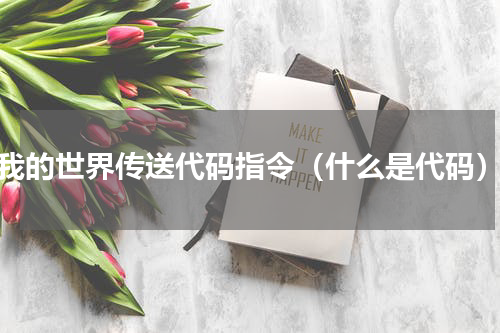我的世界传送代码指令（什么是代码）