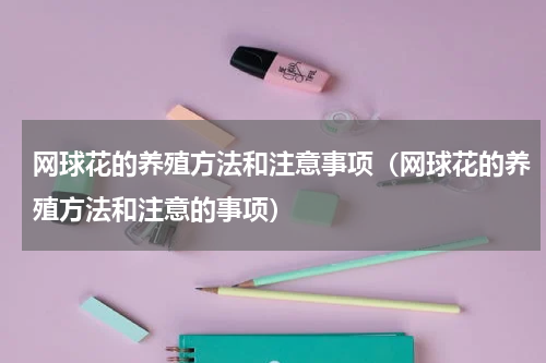 网球花的养殖方法和注意事项（网球花的养殖方法和注意的事项）