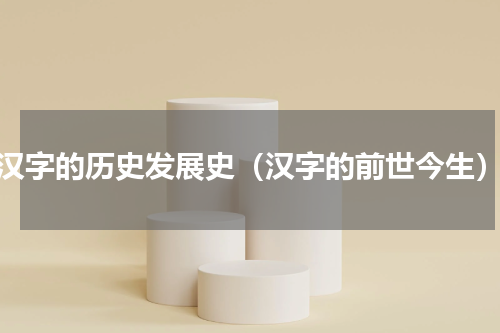 汉字的历史发展史（汉字的前世今生）