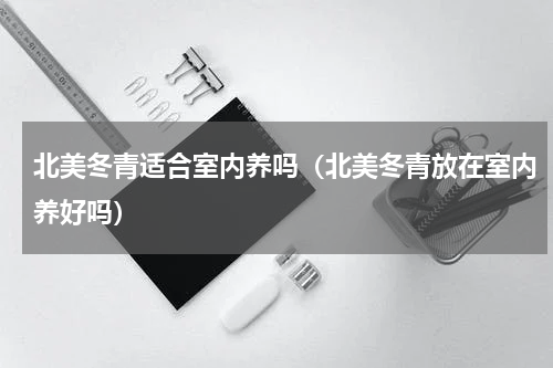 北美冬青适合室内养吗（北美冬青放在室内养好吗）