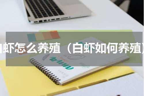 白虾怎么养殖（白虾如何养殖）