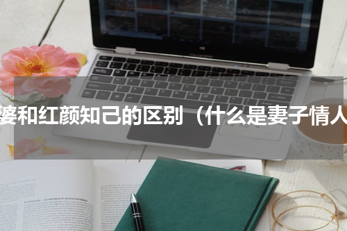 老婆和红颜知己的区别（什么是妻子情人）