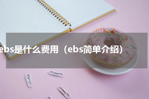 ebs是什么费用（ebs简单介绍）