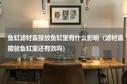 鱼缸滤材直接放鱼缸里有什么影响（滤材直接放鱼缸里还有效吗）