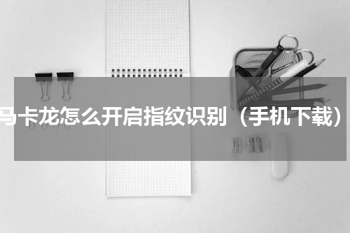 马卡龙怎么开启指纹识别（手机下载）