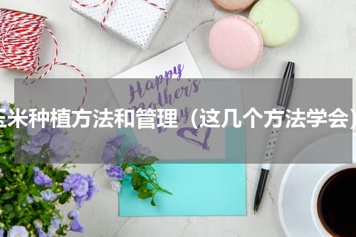玉米种植方法和管理（这几个方法学会）