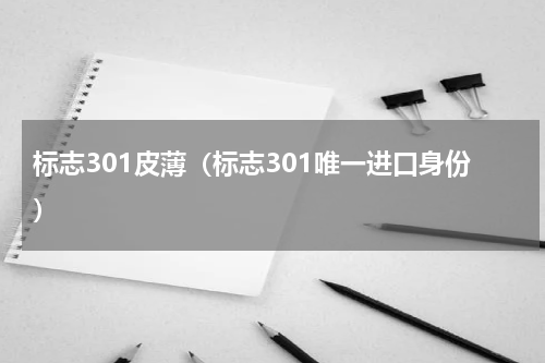 标志301皮薄（标志301唯一进口身份）