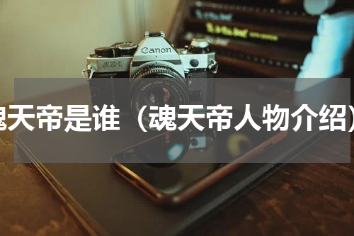 魂天帝是谁（魂天帝人物介绍）