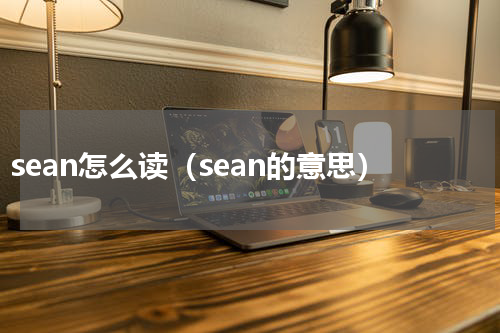 sean怎么读（sean的意思）