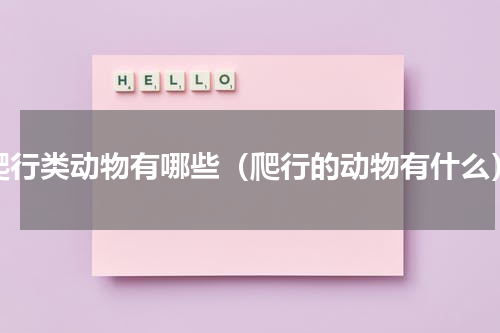 爬行类动物有哪些（爬行的动物有什么）