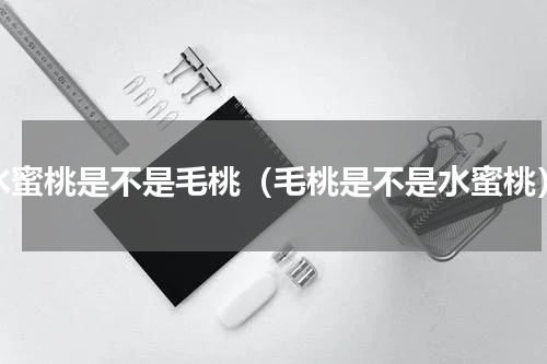 水蜜桃是不是毛桃（毛桃是不是水蜜桃）