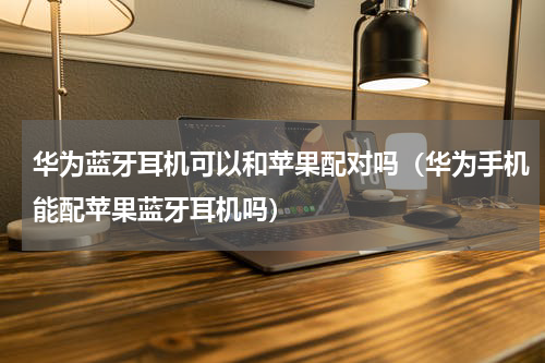 华为蓝牙耳机可以和苹果配对吗（华为手机能配苹果蓝牙耳机吗）