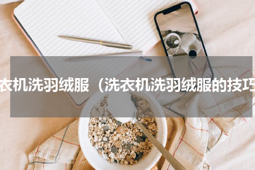 洗衣机洗羽绒服（洗衣机洗羽绒服的技巧）