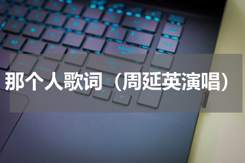 那个人歌词（周延英演唱）