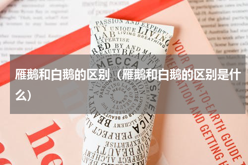 雁鹅和白鹅的区别（雁鹅和白鹅的区别是什么）
