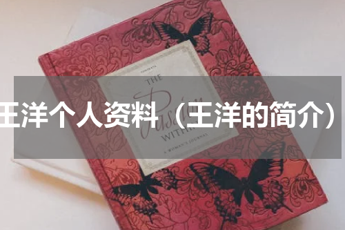 王洋个人资料（王洋的简介）