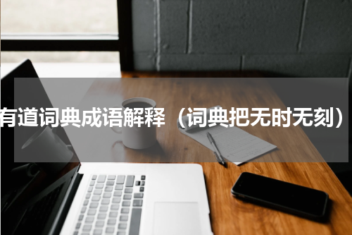 有道词典成语解释（词典把无时无刻）