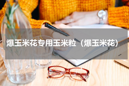 爆玉米花专用玉米粒（爆玉米花）