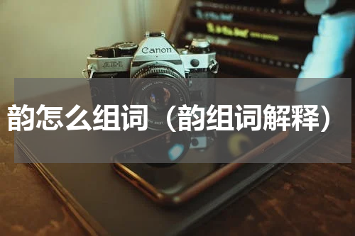 韵怎么组词（韵组词解释）