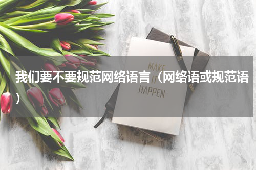 我们要不要规范网络语言（网络语或规范语）