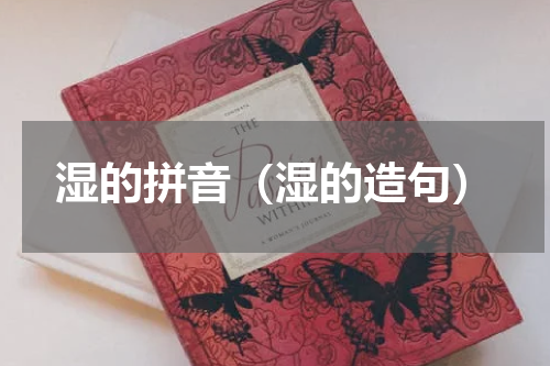 湿的拼音（湿的造句）