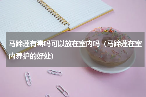 马蹄莲有毒吗可以放在室内吗（马蹄莲在室内养护的好处）