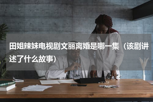田姐辣妹电视剧文丽离婚是哪一集（该剧讲述了什么故事）
