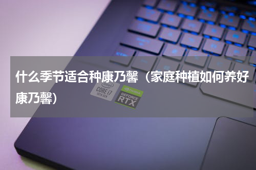 什么季节适合种康乃馨（家庭种植如何养好康乃馨）