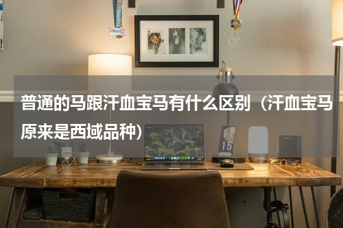 普通的马跟汗血宝马有什么区别（汗血宝马原来是西域品种）