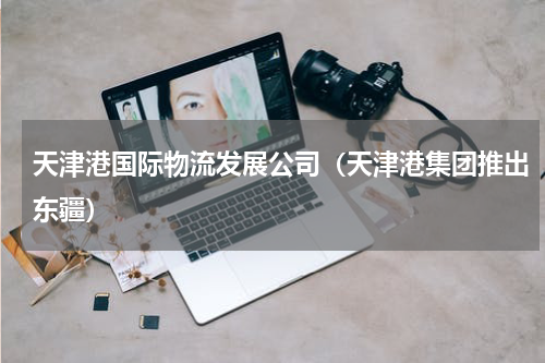 天津港国际物流发展公司（天津港集团推出东疆）