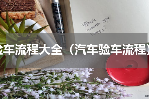 验车流程大全（汽车验车流程）