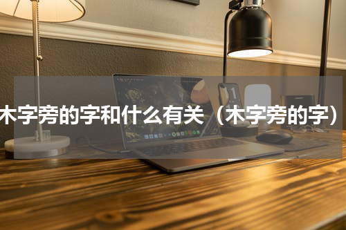 木字旁的字和什么有关（木字旁的字）