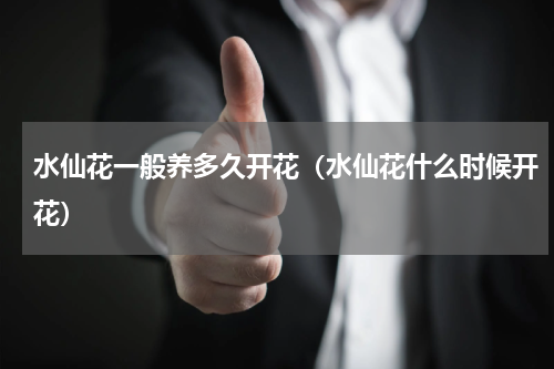 水仙花一般养多久开花（水仙花什么时候开花）