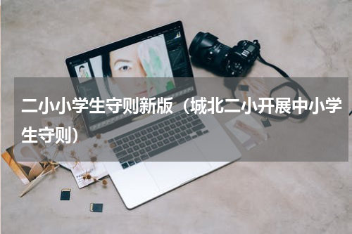二小小学生守则新版（城北二小开展中小学生守则）
