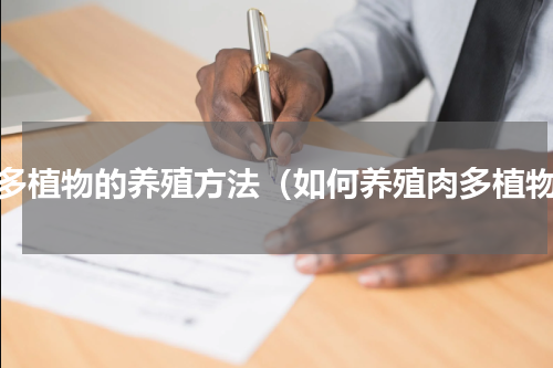 肉多植物的养殖方法（如何养殖肉多植物）