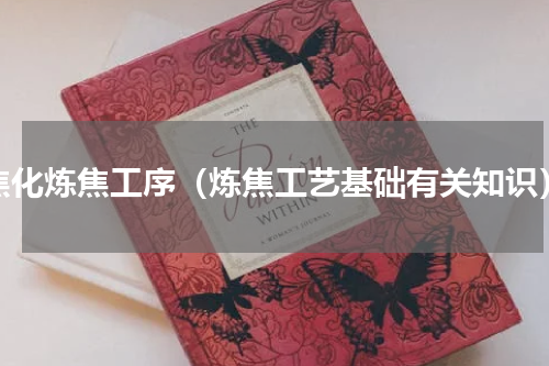 焦化炼焦工序（炼焦工艺基础有关知识）