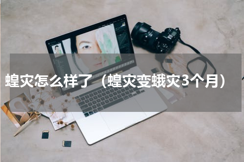 蝗灾怎么样了（蝗灾变蛾灾3个月）