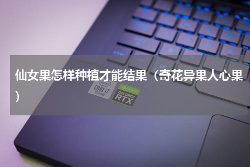 仙女果怎样种植才能结果（奇花异果人心果）
