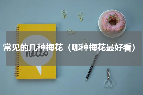 常见的几种梅花（哪种梅花最好看）