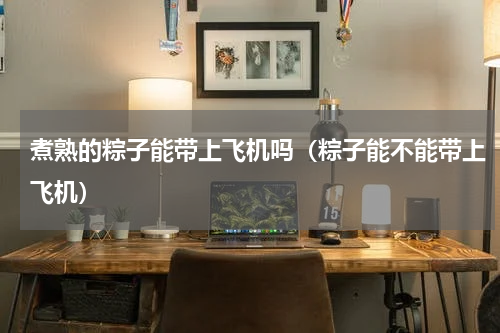 煮熟的粽子能带上飞机吗（粽子能不能带上飞机）