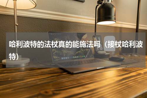 哈利波特的法杖真的能施法吗（接杖哈利波特）