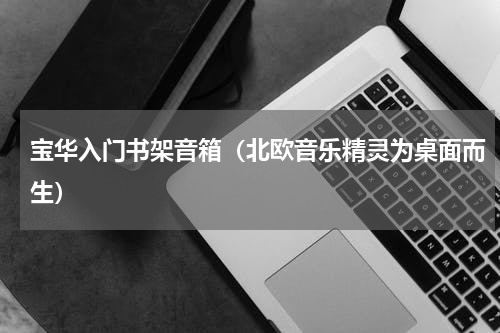 宝华入门书架音箱（北欧音乐精灵为桌面而生）