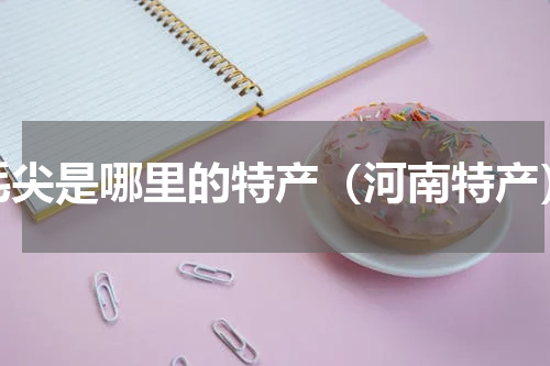 毛尖是哪里的特产（河南特产）